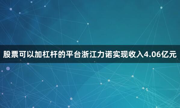 股票可以加杠杆的平台浙江力诺实现收入4.06亿元